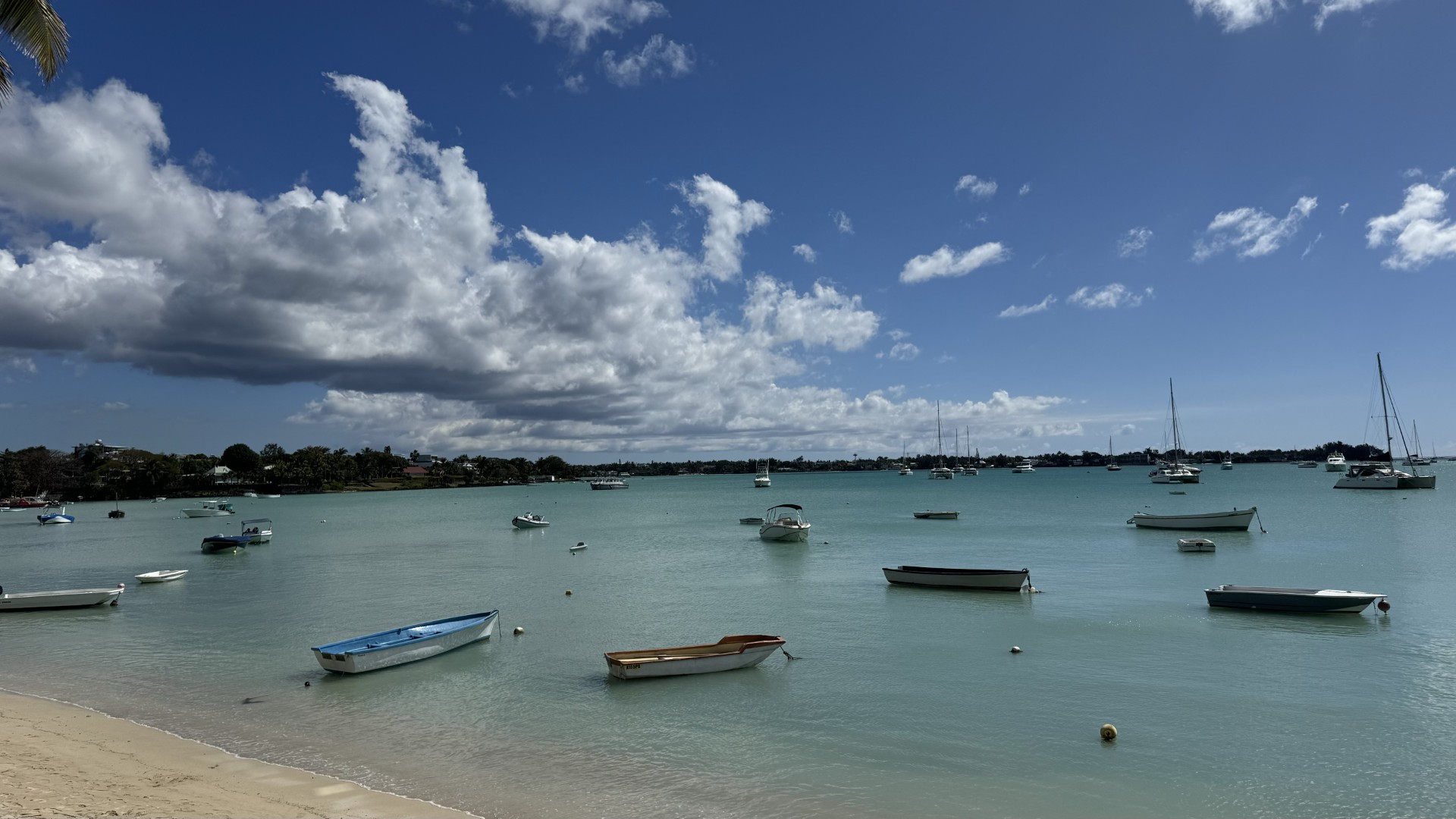Mauritius harbour — where the idea began