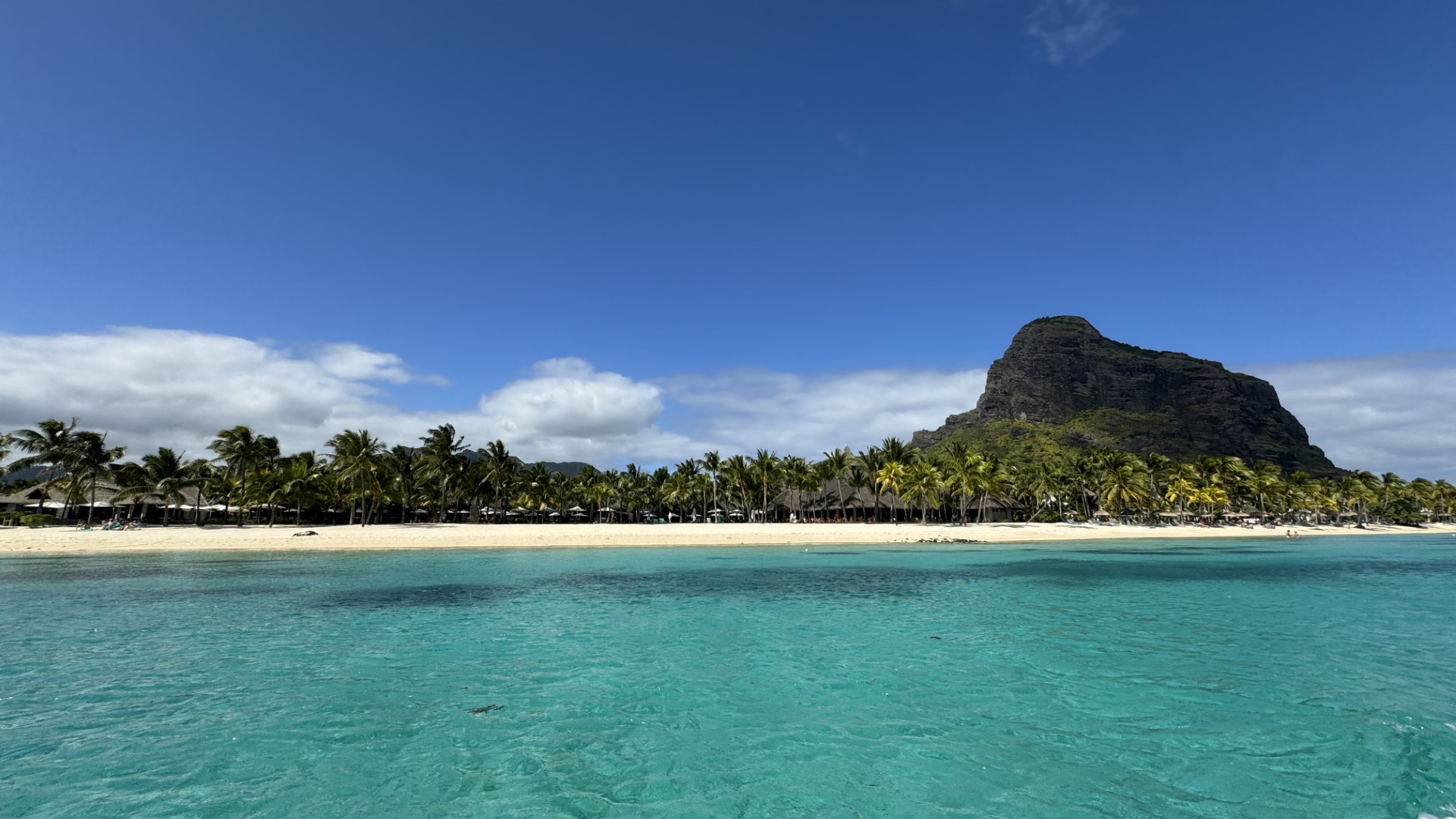Le Morne, Mauritius - turquoise waters and palm trees
